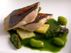 Foto de presentacion